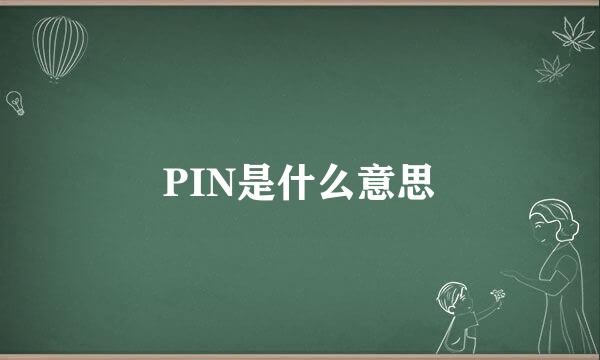PIN是什么意思